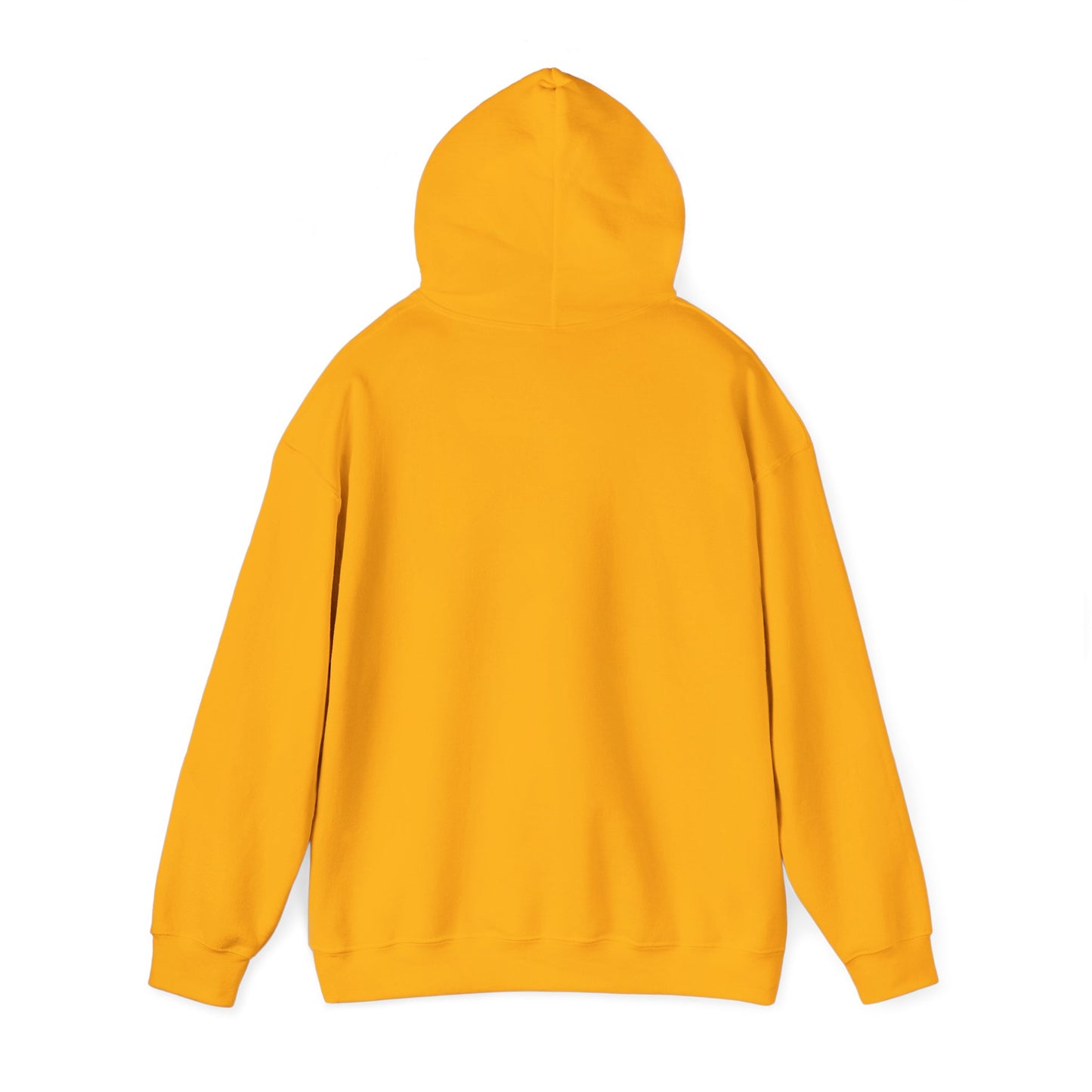 Hooded Sweatshirt - Negro Vision Logo Design