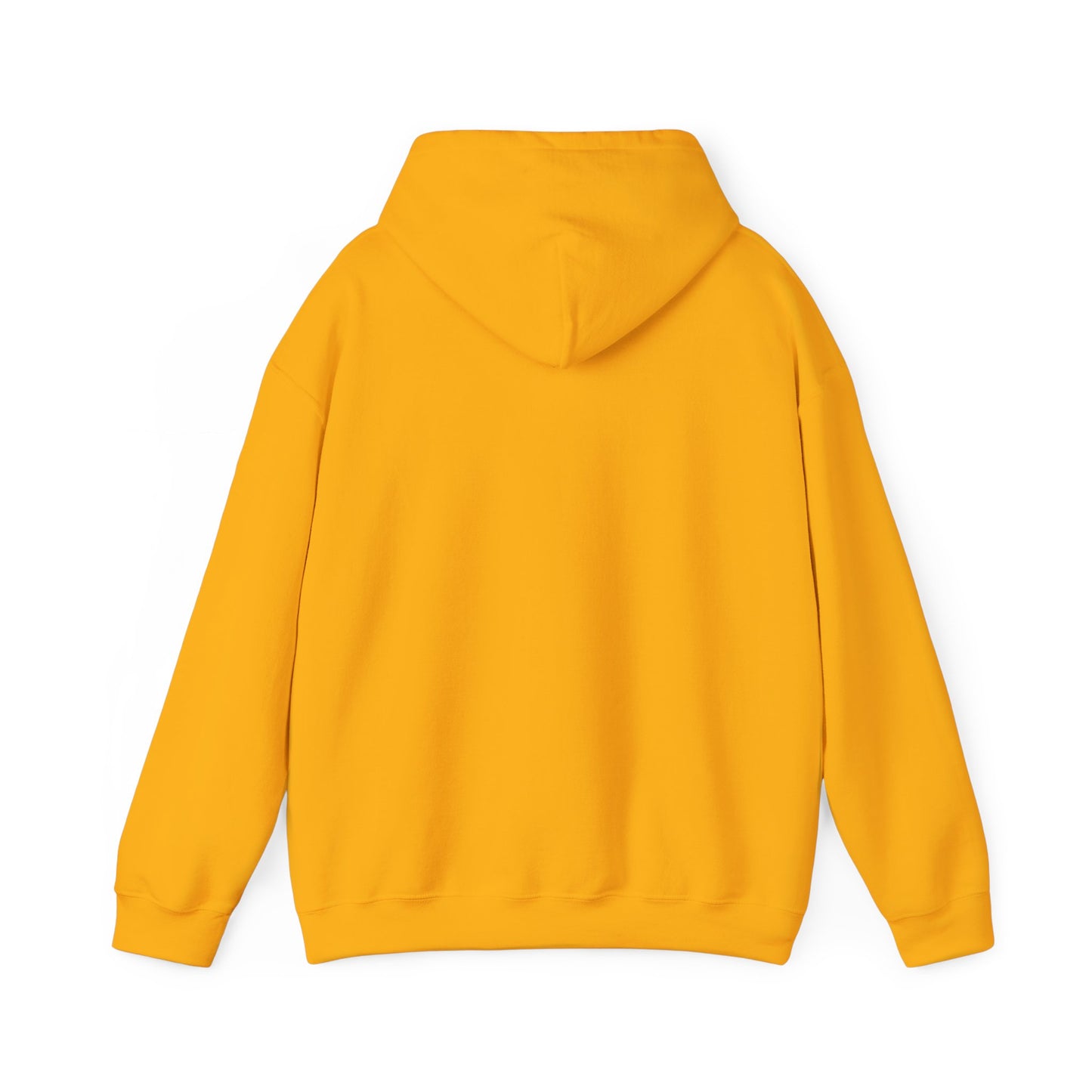 Hooded Sweatshirt - Negro Vision Logo Design