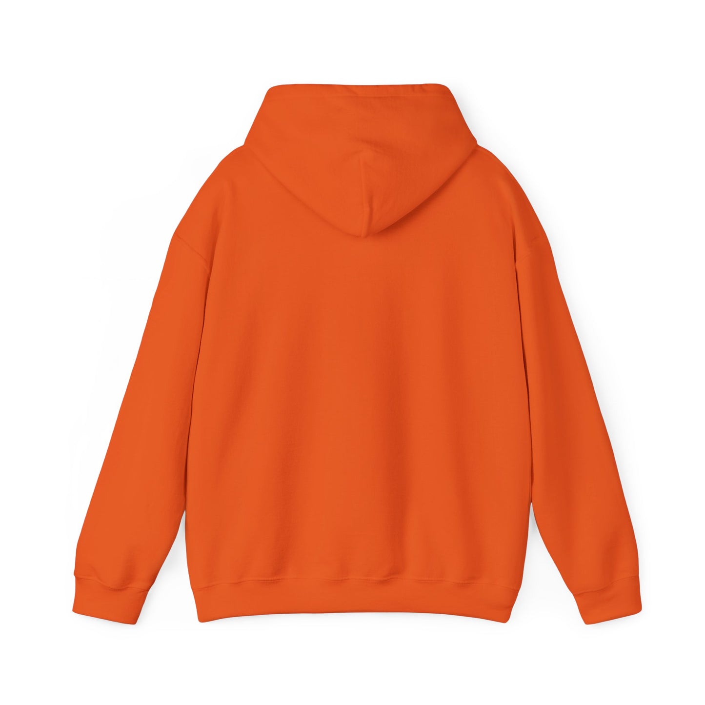 Hooded Sweatshirt - Negro Vision Logo Design