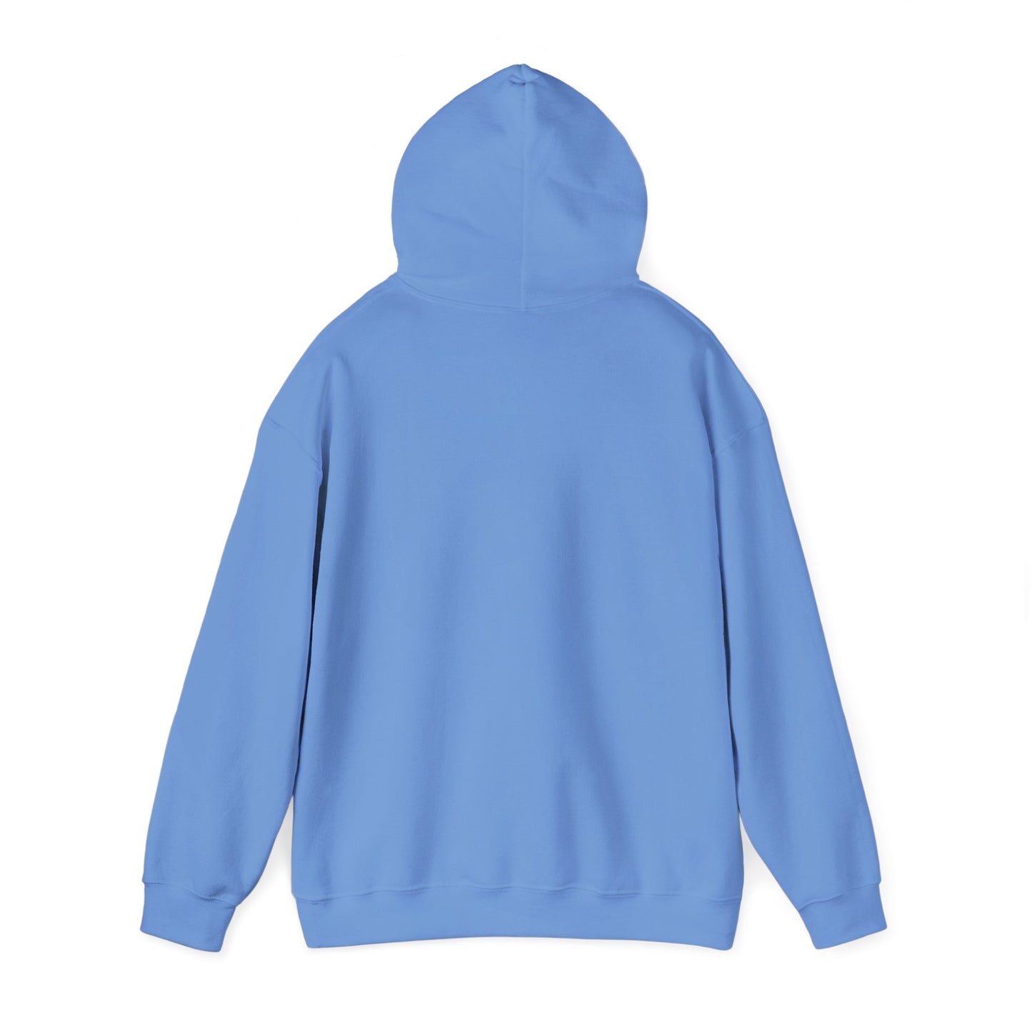 Hooded Sweatshirt - Negro Vision Logo Design