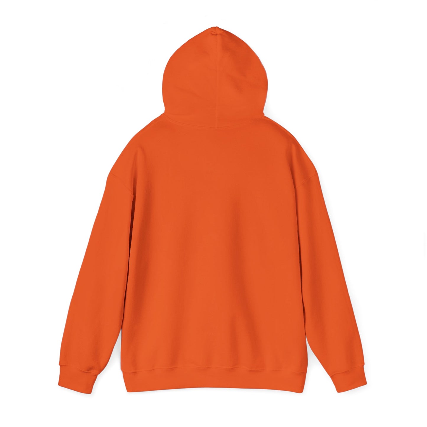 Hooded Sweatshirt - Negro Vision Logo Design
