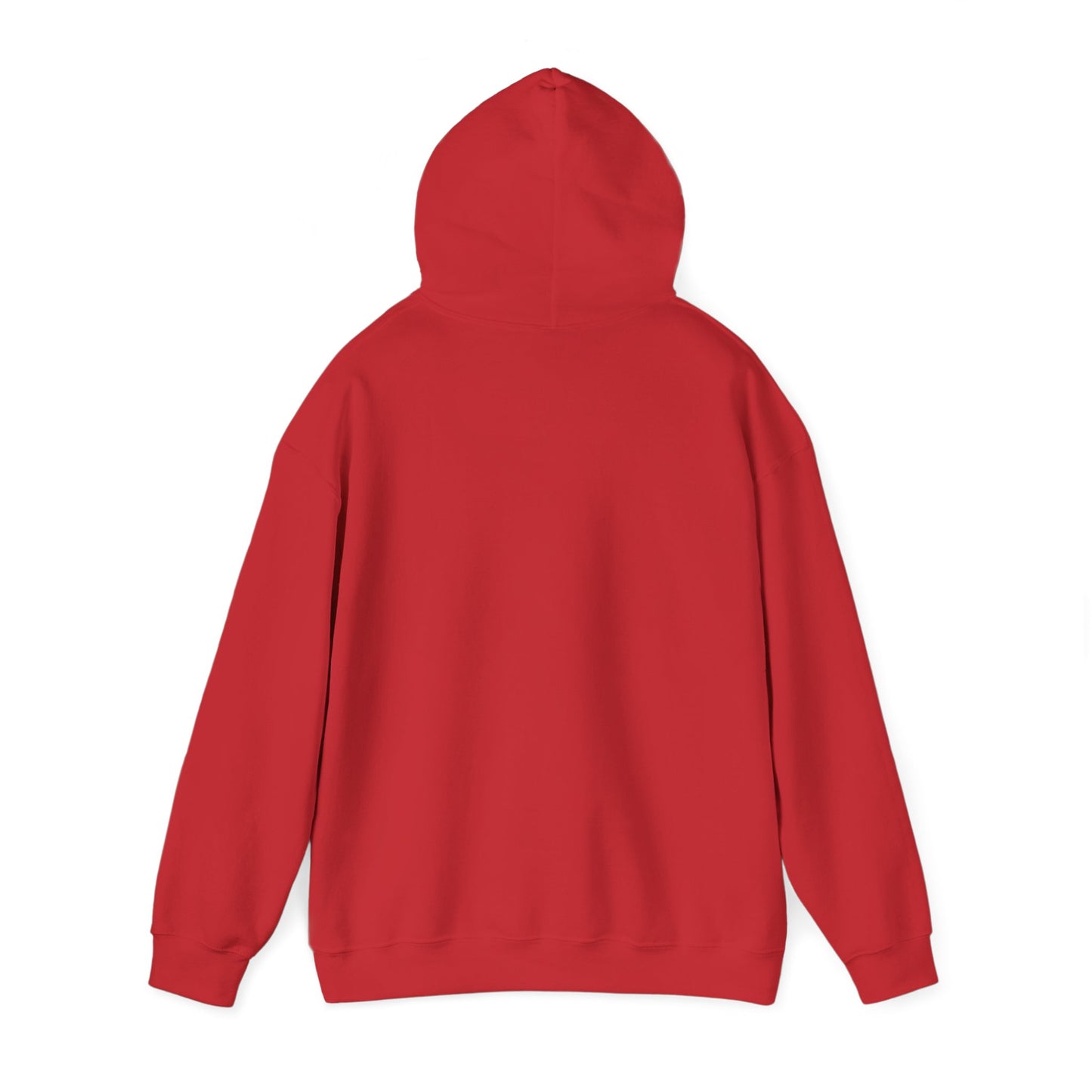 Hooded Sweatshirt - Negro Vision Logo Design