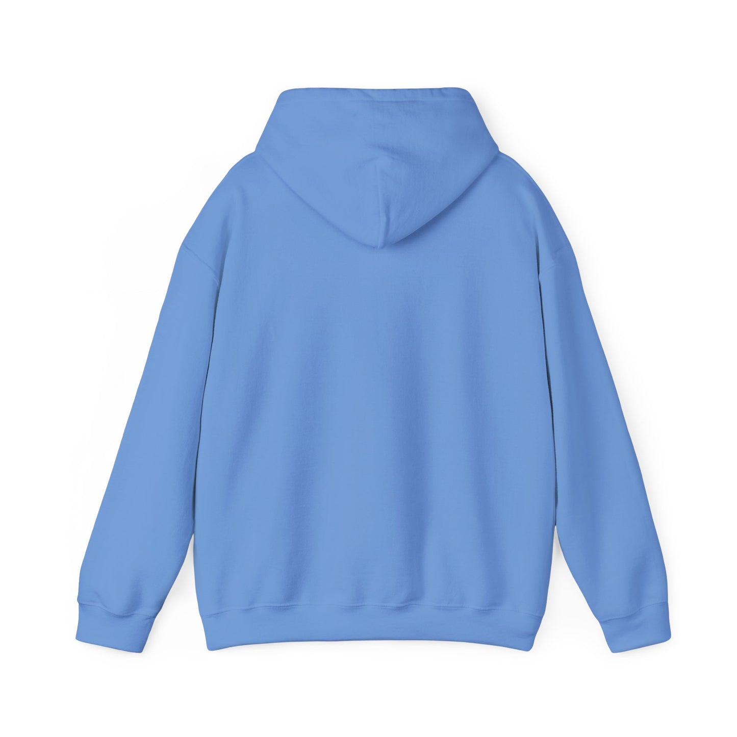 Hooded Sweatshirt - Negro Vision Logo Design